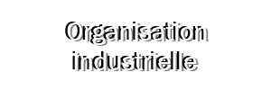 Organisation industrielle